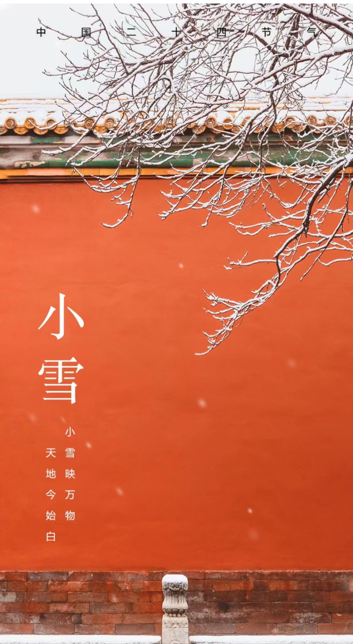 《它朝若是同淋雪，此生也算共白头》