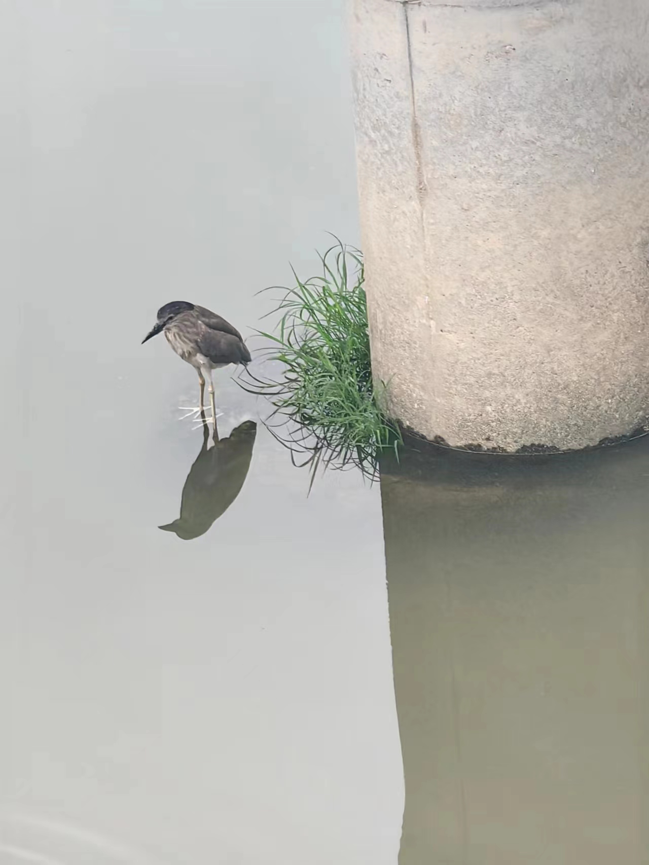 《深圳宇锡初三祝福语自强不息》